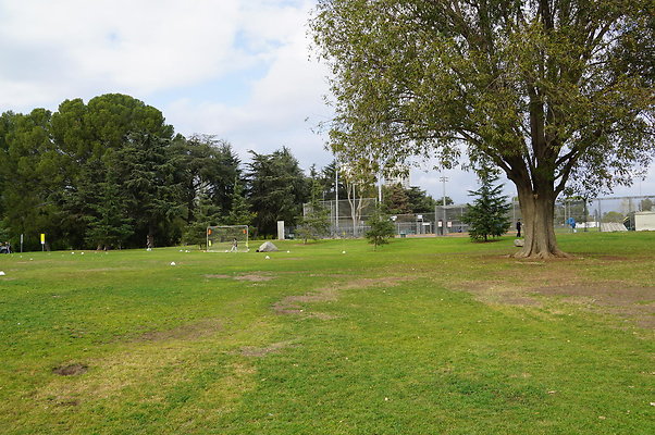 DSC08245