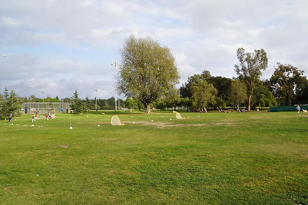 DSC08237