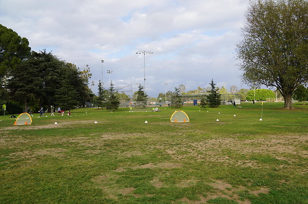 DSC08241