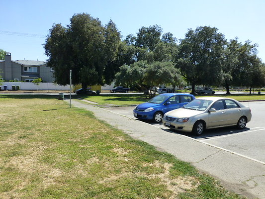 P1090008