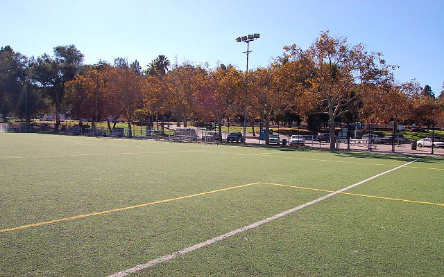 DSC 0005