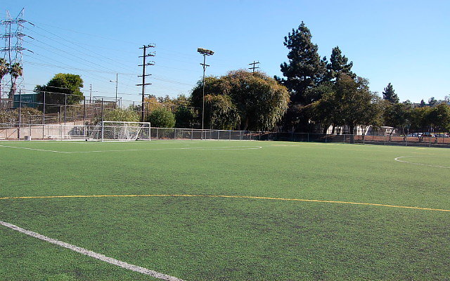 DSC 0024
