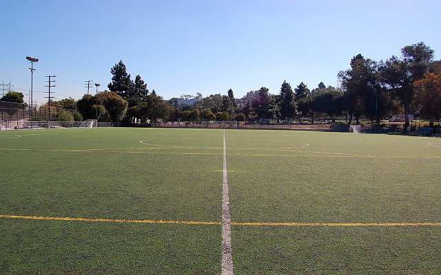DSC 0004