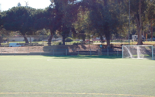 DSC 0038