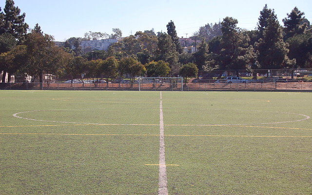 DSC 0007