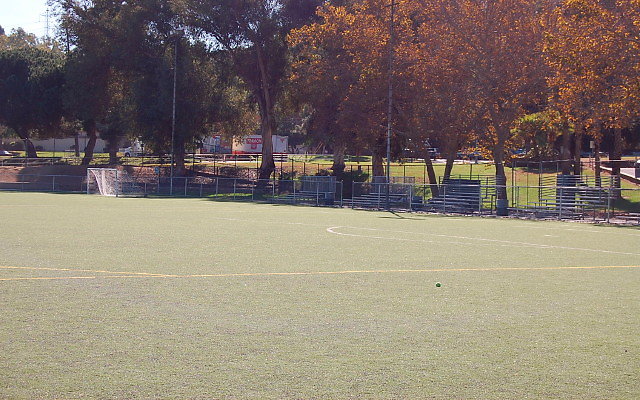 DSC 0008