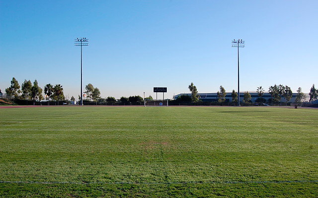 Track &amp; Field Stadium Grass Field