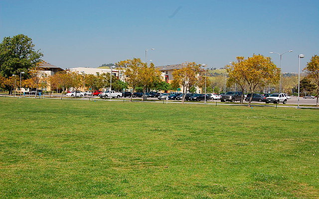 DSC 0083
