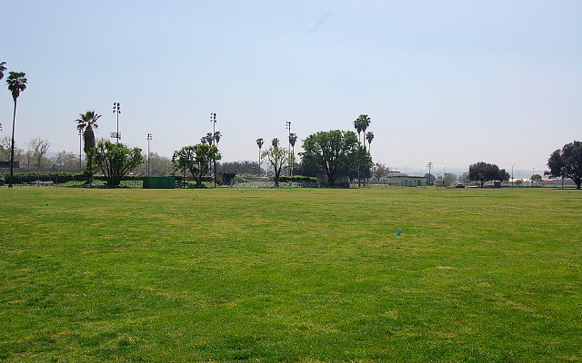 DSC 0091