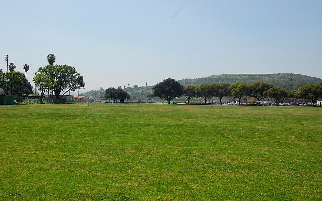 DSC 0074