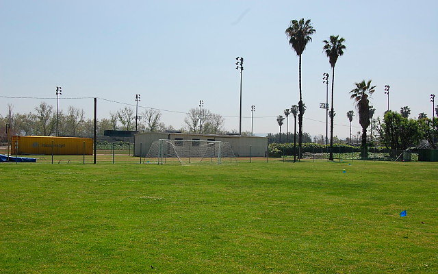 DSC 0073