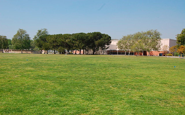 DSC 0082