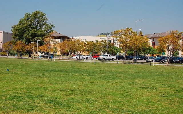 DSC 0080