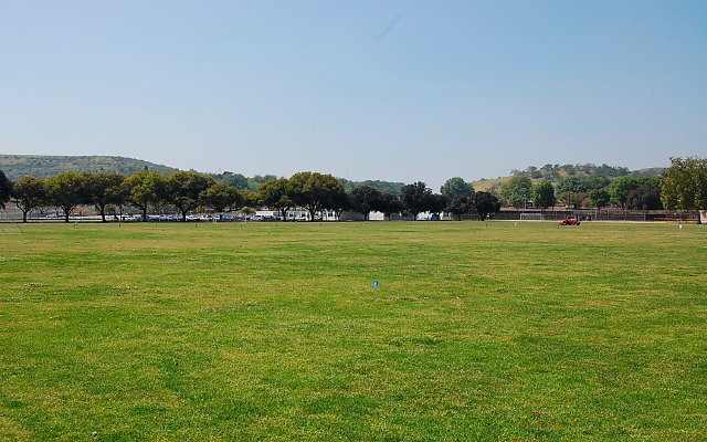 DSC 0081