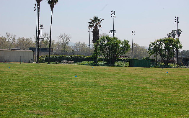 DSC 0087