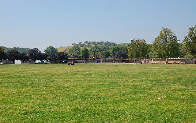 DSC 0078