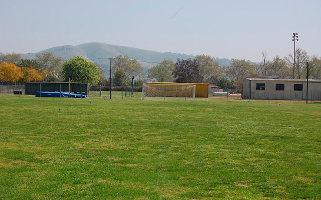 DSC 0086