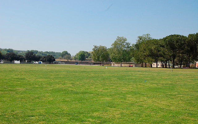 DSC 0075