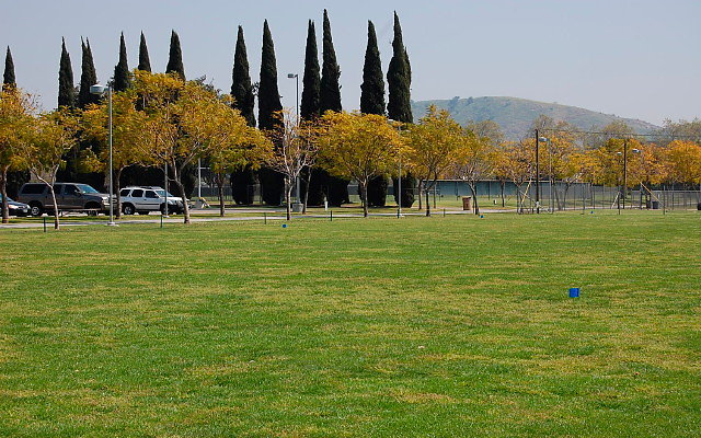 DSC 0085