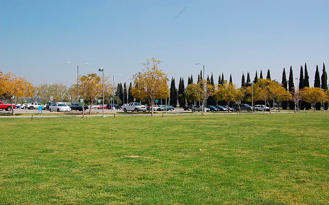 DSC 0089