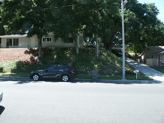 PICT0178