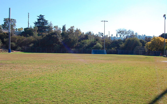 Soccer Field