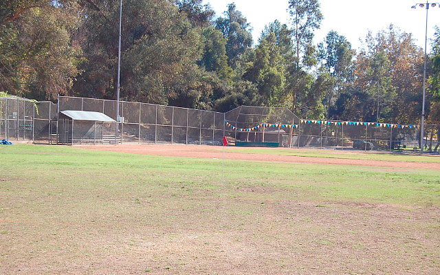 DSC 0181
