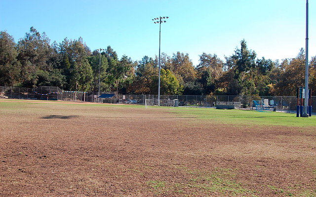 DSC 0157