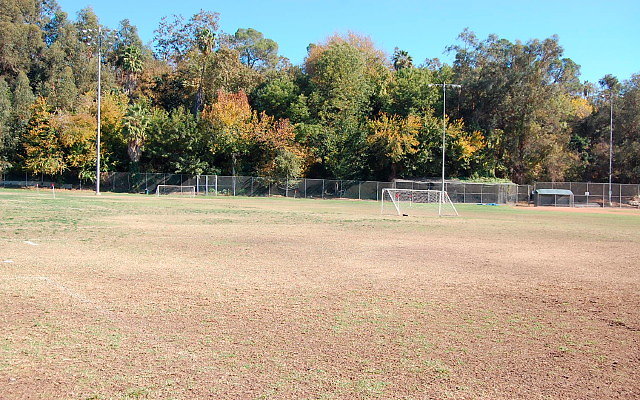 DSC 0156