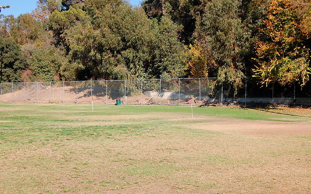 DSC 0177