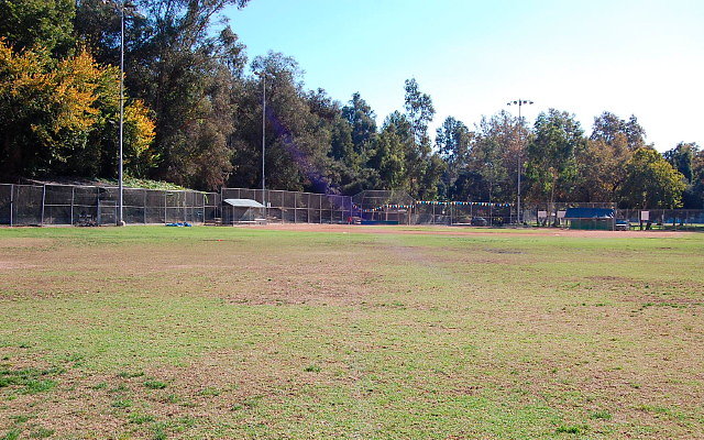 DSC 0172