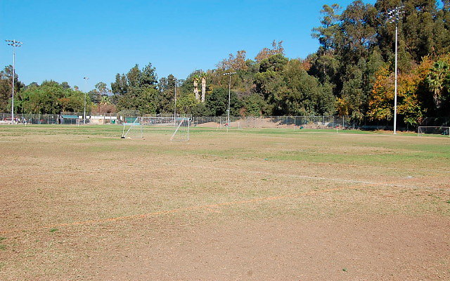 DSC 0146
