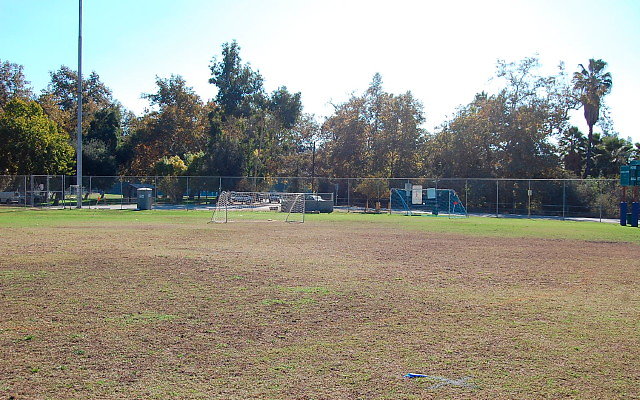 DSC 0150