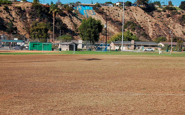 DSC 0148