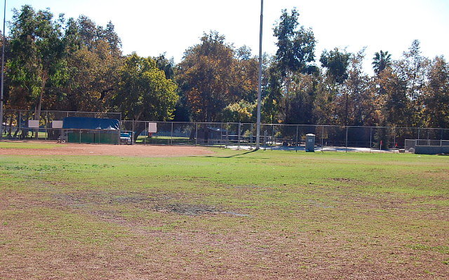 DSC 0182