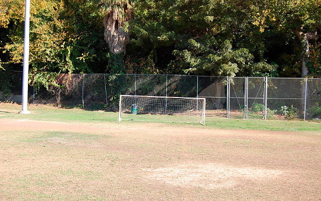 DSC 0178
