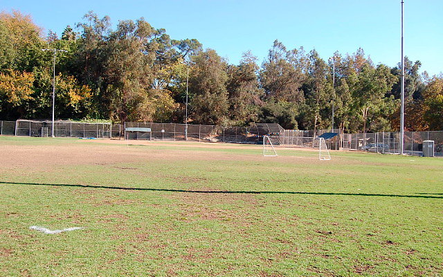 DSC 0164