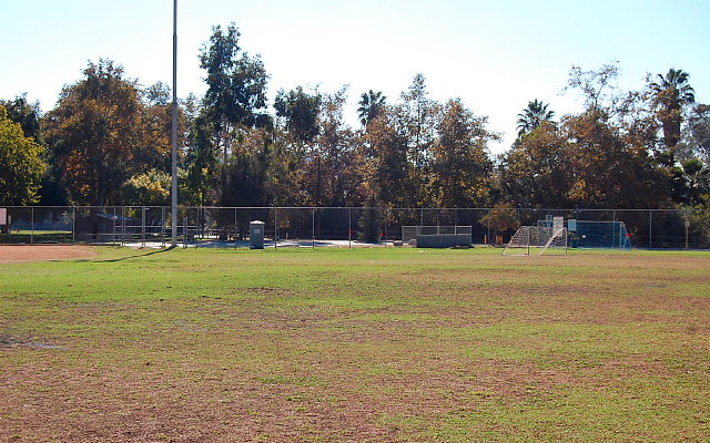 DSC 0174