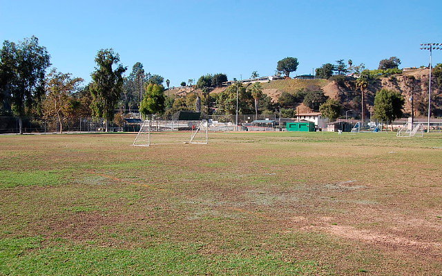 DSC 0183