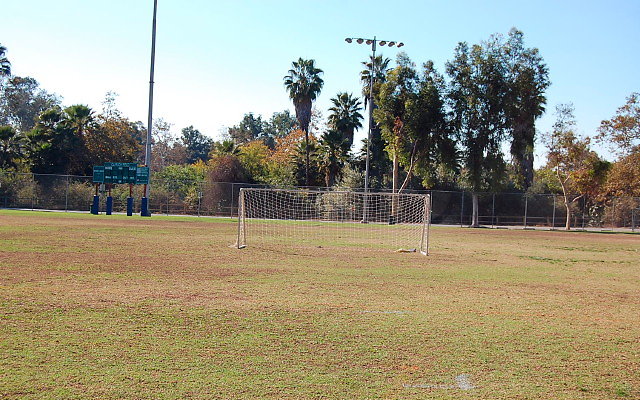 DSC 0175