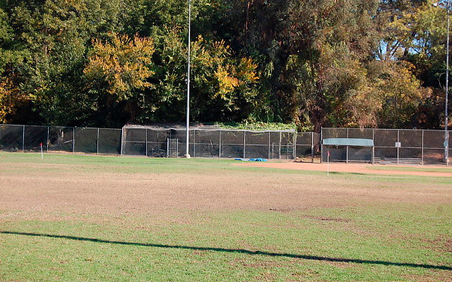 DSC 0167