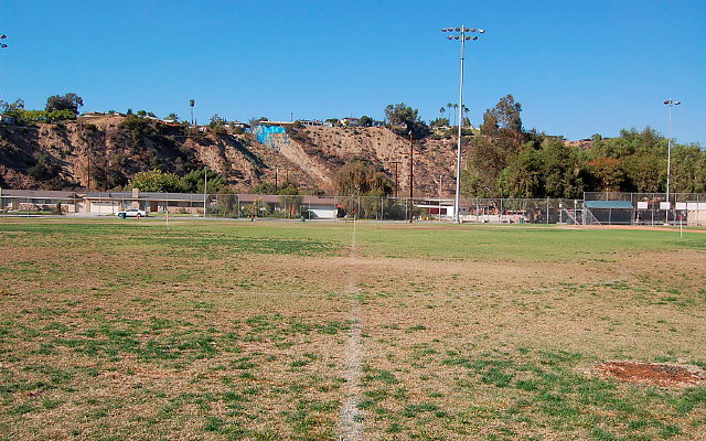 DSC 0169