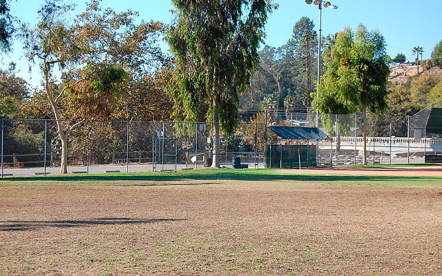 DSC 0155