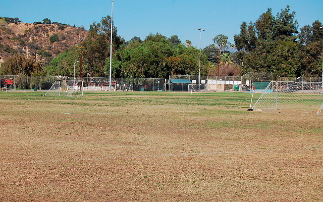 DSC 0149