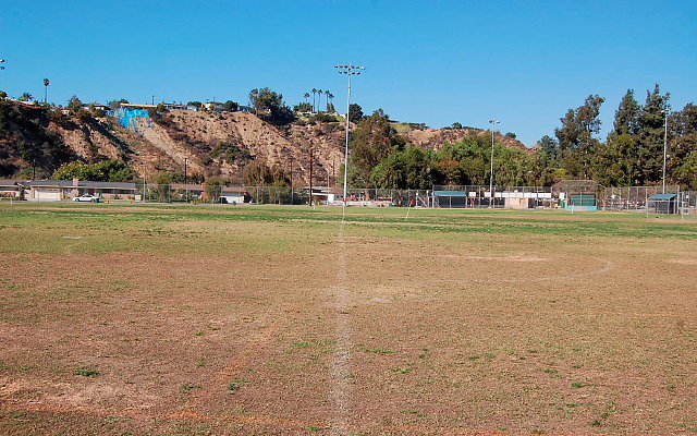 DSC 0184