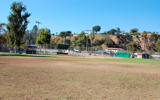 DSC 0152