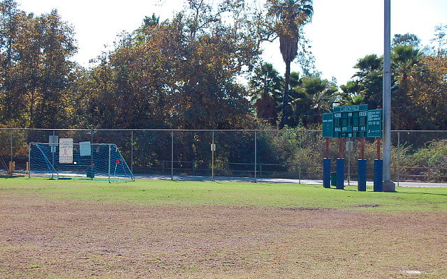 DSC 0153