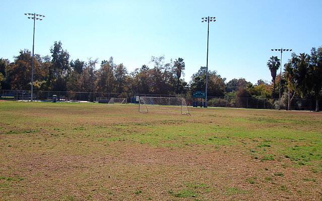 DSC 0173