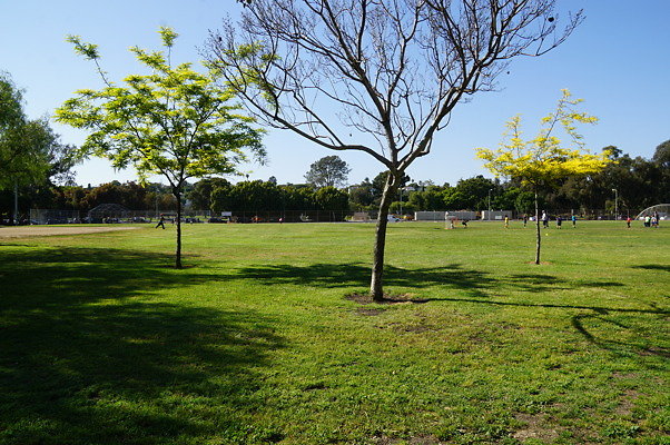 Penmar.Lake.St.08