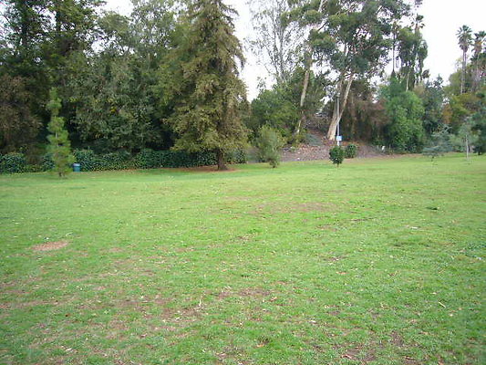 P1060969